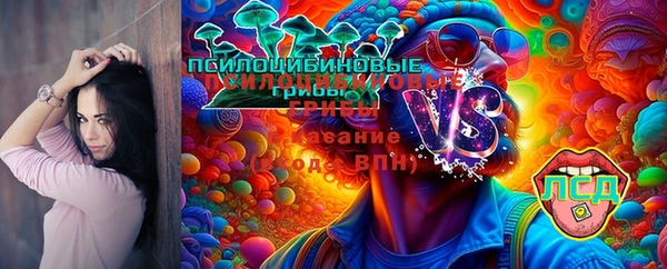 стаф Гусиноозёрск