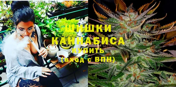 стаф Гусиноозёрск