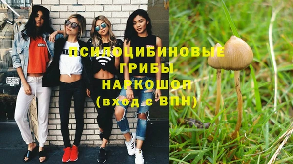 метамфетамин Гусь-Хрустальный