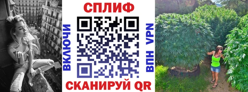 где купить наркоту  кракен ONION  МАРИХУАНА MAZAR  Жуков 
